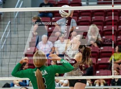 Thumbnail 1 in Tioga vs. Sherman (Hwy 75 Volleyfest) photogallery.