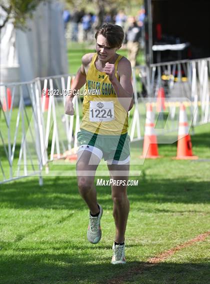 Thumbnail 2 in UIL Cross Country 1A Finals (5K) photogallery.