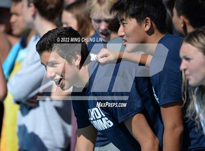 Thumbnail 1 in CIF SS D1/D2 Swimming Final  photogallery.