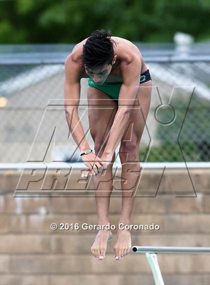 Thumbnail 2 in CIF SJS Boys Diving Championships photogallery.