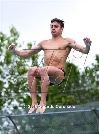 Thumbnail 1 in CIF SJS Boys Diving Championships photogallery.