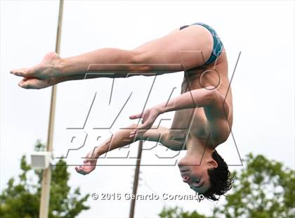 Thumbnail 3 in CIF SJS Boys Diving Championships photogallery.