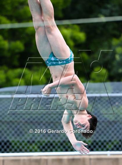 Thumbnail 2 in CIF SJS Boys Diving Championships photogallery.
