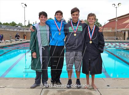 Thumbnail 2 in CIF SJS Boys Diving Championships photogallery.