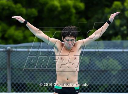 Thumbnail 3 in CIF SJS Boys Diving Championships photogallery.