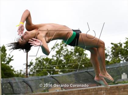 Thumbnail 3 in CIF SJS Boys Diving Championships photogallery.