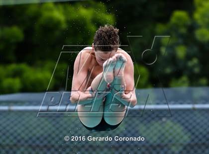 Thumbnail 1 in CIF SJS Boys Diving Championships photogallery.