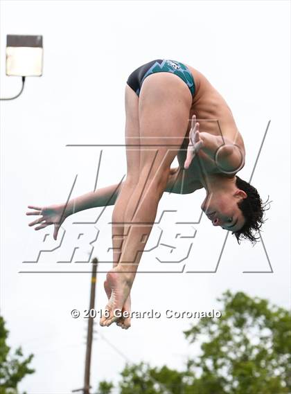 Thumbnail 2 in CIF SJS Boys Diving Championships photogallery.
