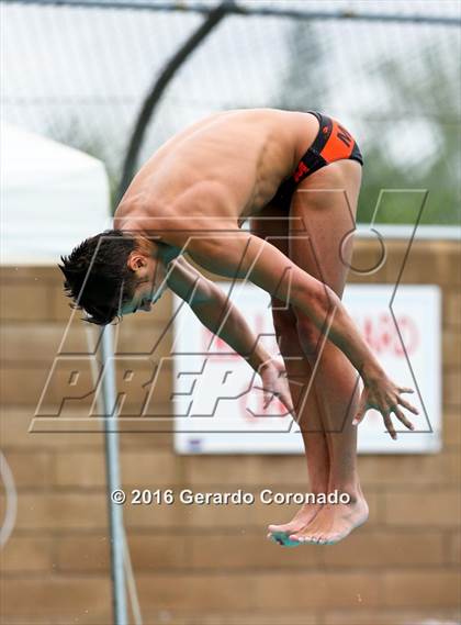 Thumbnail 2 in CIF SJS Boys Diving Championships photogallery.