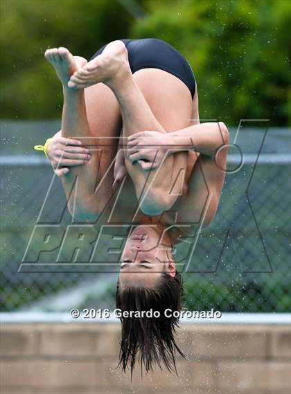 Thumbnail 1 in CIF SJS Boys Diving Championships photogallery.