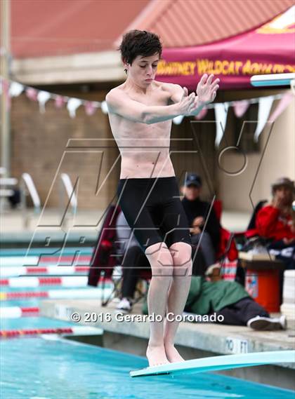 Thumbnail 3 in CIF SJS Boys Diving Championships photogallery.