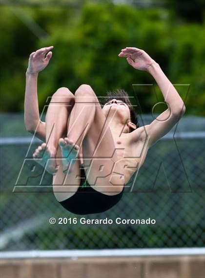 Thumbnail 3 in CIF SJS Boys Diving Championships photogallery.