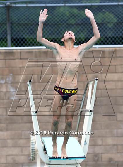 Thumbnail 1 in CIF SJS Boys Diving Championships photogallery.