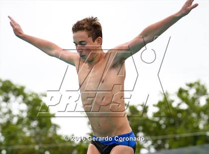 Thumbnail 3 in CIF SJS Boys Diving Championships photogallery.