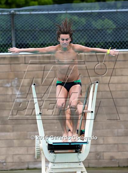 Thumbnail 2 in CIF SJS Boys Diving Championships photogallery.