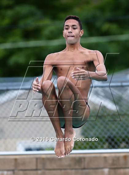 Thumbnail 2 in CIF SJS Boys Diving Championships photogallery.