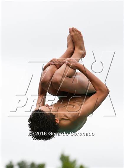 Thumbnail 2 in CIF SJS Boys Diving Championships photogallery.