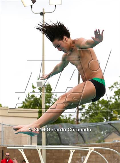 Thumbnail 1 in CIF SJS Boys Diving Championships photogallery.