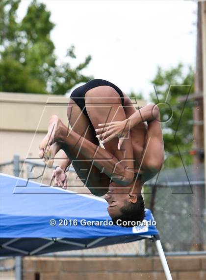 Thumbnail 1 in CIF SJS Boys Diving Championships photogallery.