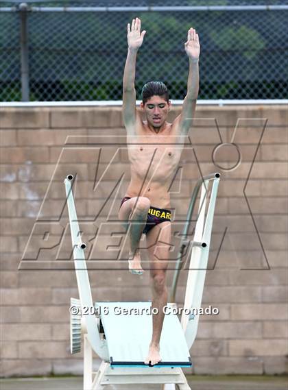 Thumbnail 2 in CIF SJS Boys Diving Championships photogallery.
