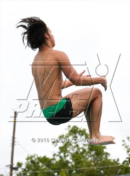 Thumbnail 2 in CIF SJS Boys Diving Championships photogallery.