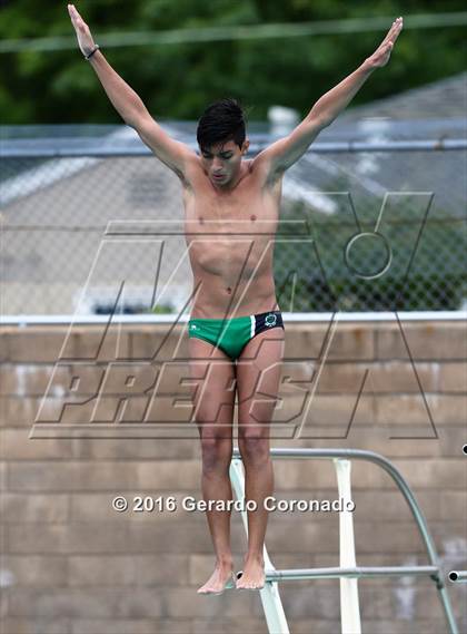 Thumbnail 1 in CIF SJS Boys Diving Championships photogallery.
