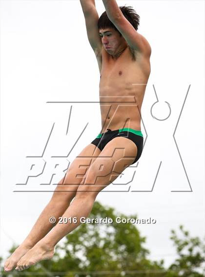 Thumbnail 1 in CIF SJS Boys Diving Championships photogallery.