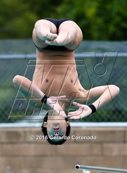 Thumbnail 2 in CIF SJS Boys Diving Championships photogallery.