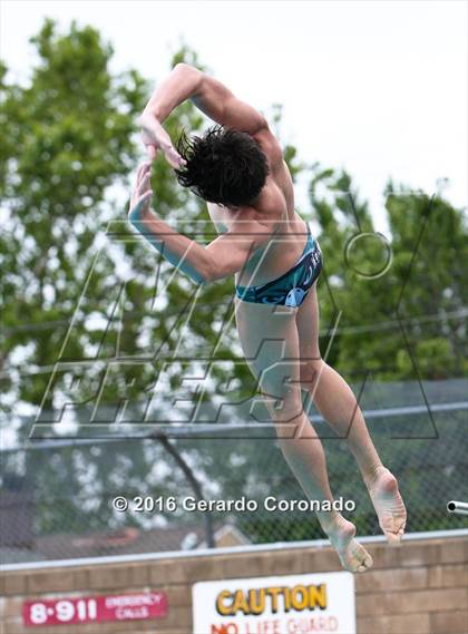 Thumbnail 3 in CIF SJS Boys Diving Championships photogallery.