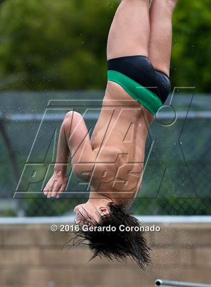 Thumbnail 2 in CIF SJS Boys Diving Championships photogallery.