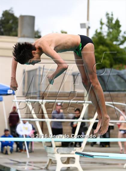Thumbnail 1 in CIF SJS Boys Diving Championships photogallery.
