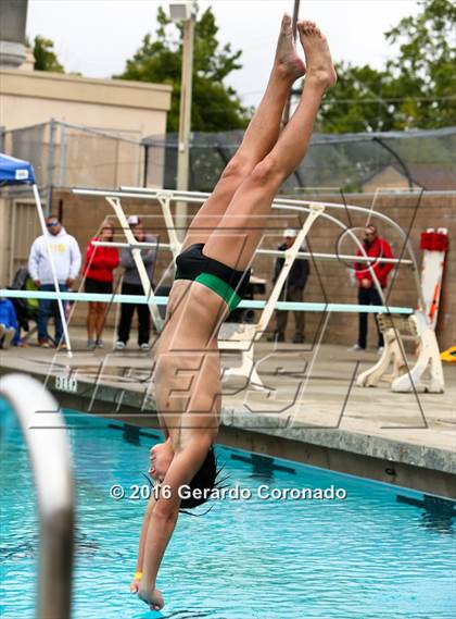 Thumbnail 2 in CIF SJS Boys Diving Championships photogallery.