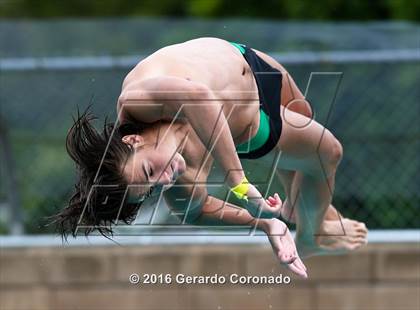 Thumbnail 1 in CIF SJS Boys Diving Championships photogallery.
