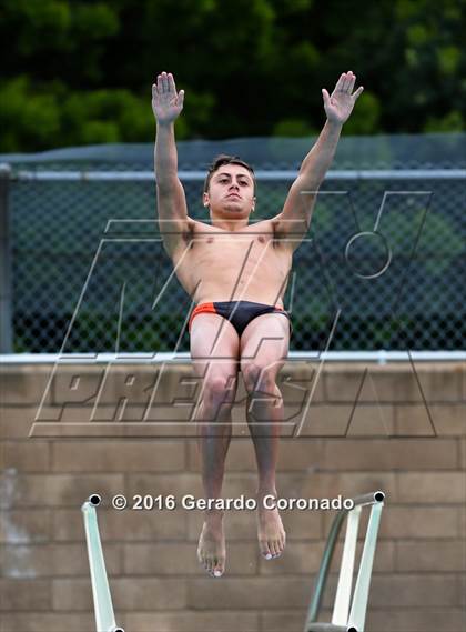 Thumbnail 1 in CIF SJS Boys Diving Championships photogallery.