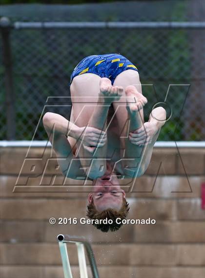 Thumbnail 3 in CIF SJS Boys Diving Championships photogallery.