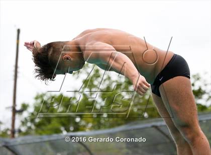 Thumbnail 2 in CIF SJS Boys Diving Championships photogallery.