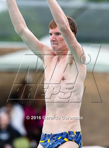 Thumbnail 1 in CIF SJS Boys Diving Championships photogallery.