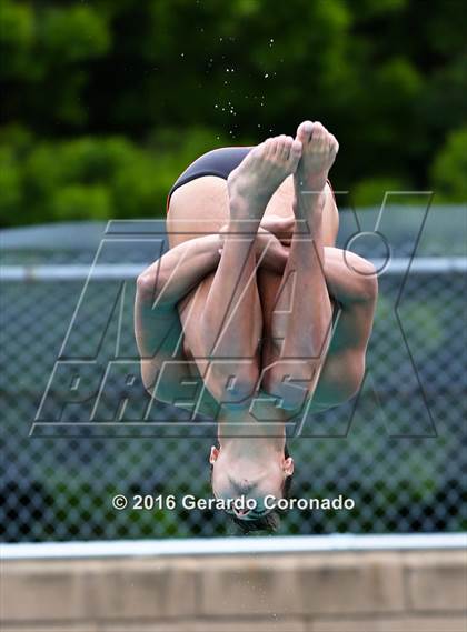Thumbnail 2 in CIF SJS Boys Diving Championships photogallery.