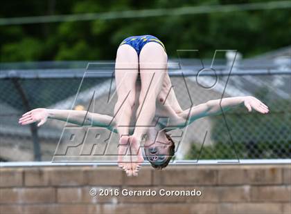 Thumbnail 2 in CIF SJS Boys Diving Championships photogallery.