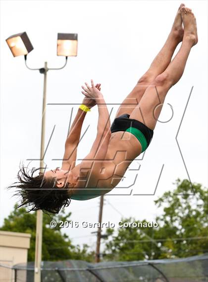 Thumbnail 3 in CIF SJS Boys Diving Championships photogallery.