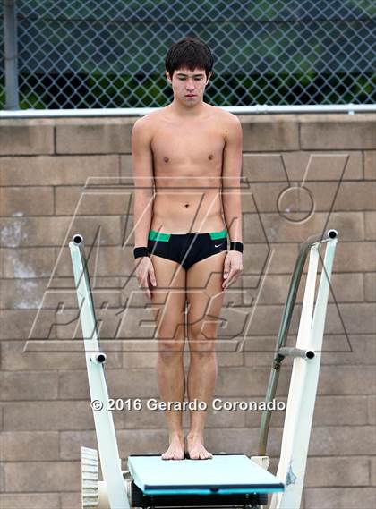 Thumbnail 3 in CIF SJS Boys Diving Championships photogallery.