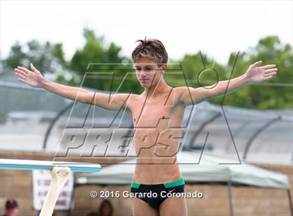 Thumbnail 3 in CIF SJS Boys Diving Championships photogallery.