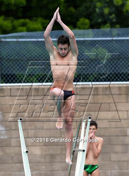 Thumbnail 3 in CIF SJS Boys Diving Championships photogallery.