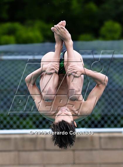 Thumbnail 2 in CIF SJS Boys Diving Championships photogallery.
