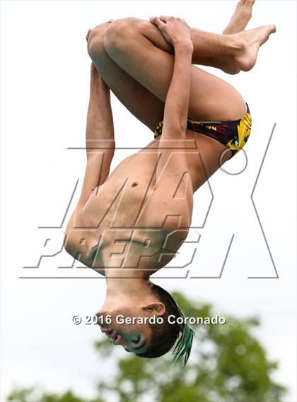 Thumbnail 1 in CIF SJS Boys Diving Championships photogallery.