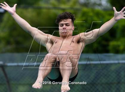 Thumbnail 1 in CIF SJS Boys Diving Championships photogallery.