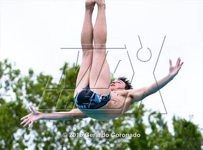 Thumbnail 1 in CIF SJS Boys Diving Championships photogallery.