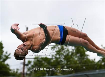 Thumbnail 1 in CIF SJS Boys Diving Championships photogallery.