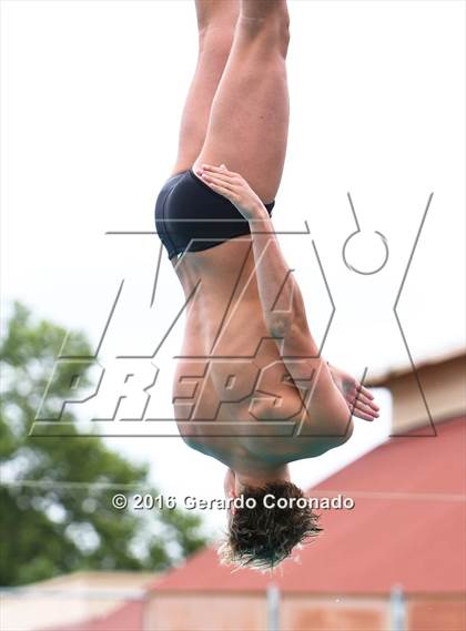 Thumbnail 2 in CIF SJS Boys Diving Championships photogallery.