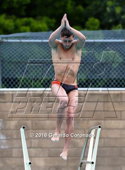 Thumbnail 3 in CIF SJS Boys Diving Championships photogallery.